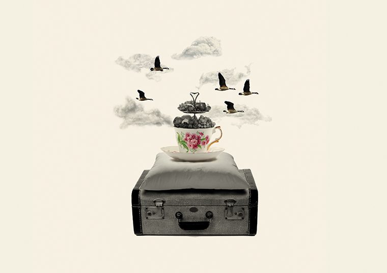 Tea cup and saucer holding bunches of fruit, resting on a pillow and suitcase with swans flying past